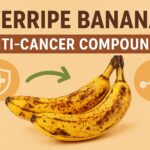 Overripe Bananas: How a Simple Fruit May Help Fight Cancer Naturally